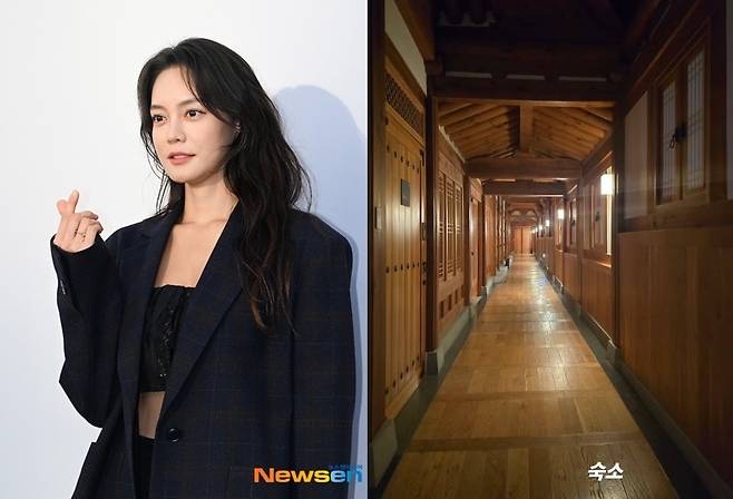 뉴스엔DB, 안현모 소셜미디어