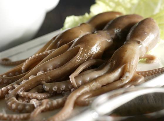전남 무안산 낙지. 중앙포토