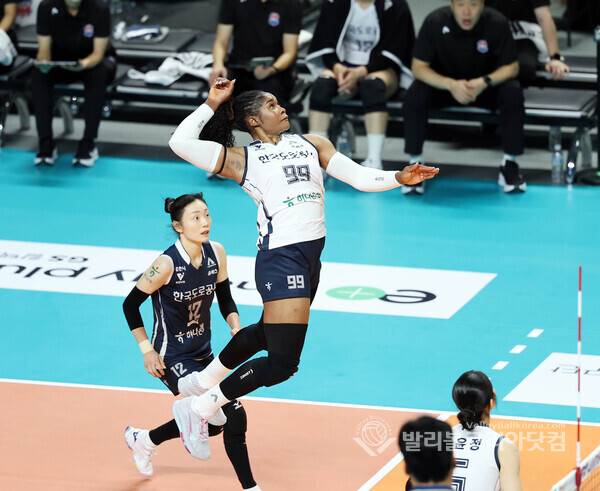 한국도로공사 모마.