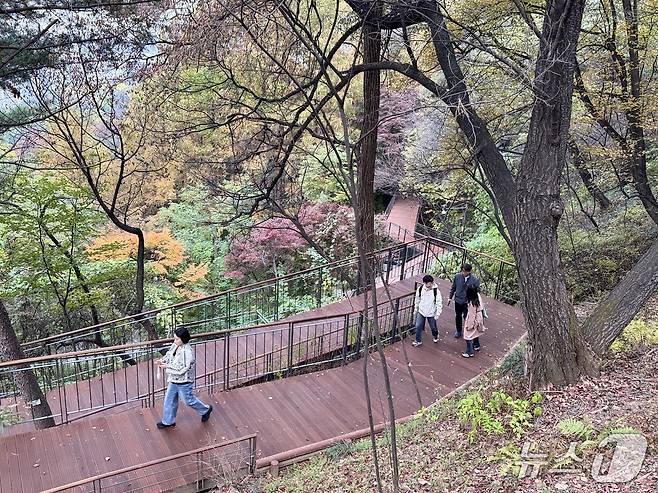 아이 둘을 데리고 한 가족이 '남산 하늘숲길'을 걸어 올라가고 있다. 2025.10.31/뉴스1 ⓒ News1 한지명 기자