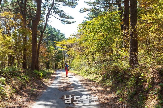 광양백운산 둘레길./광양시 제공