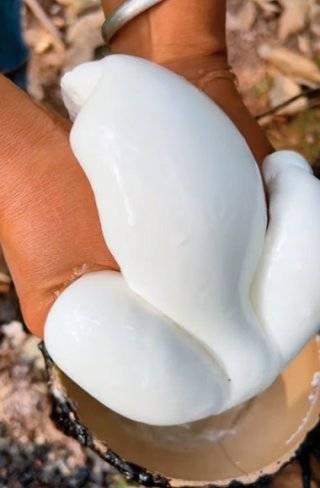 Z세대가 보는 ASMR처럼 즐기고 있는 고무 짜기 콘텐츠. 인스타그램 @mmellium 계정 캡처