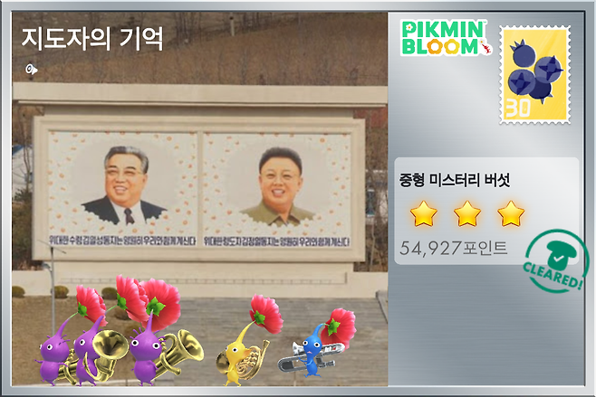 김일성-김정일 선전 벽화가 있는 북한 라진 지역에 심어진 '버섯'을 깨면 '지도자의 기억'이라는 이름의 엽서를 받을 수 있다