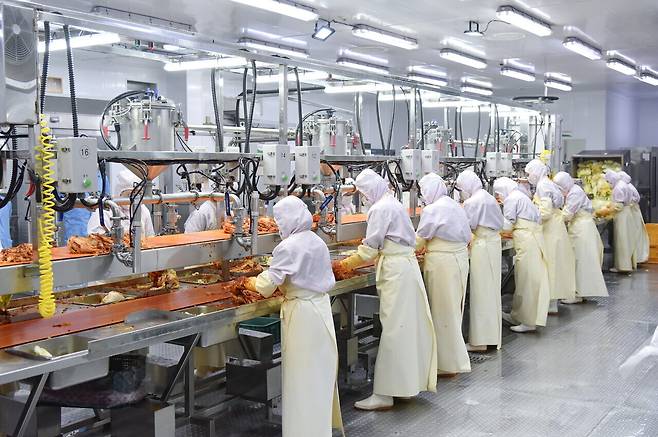 자동화된 김치 속넣기 공정. 선도농협 제공