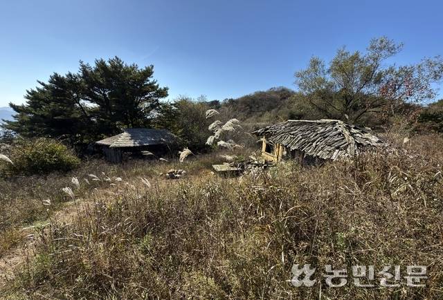 경기 양평 설매재의 내경의 집. 지금은 폐허지만 억새와의 풍경은 여전히 장관이다. 강재훈 프리랜서 사진기자