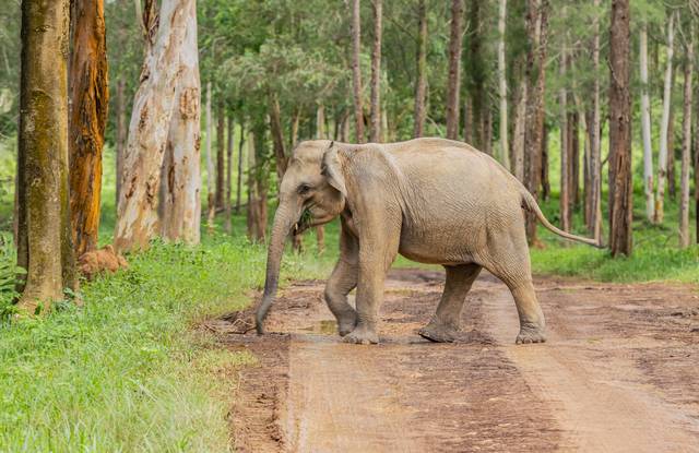 게티이미지뱅크