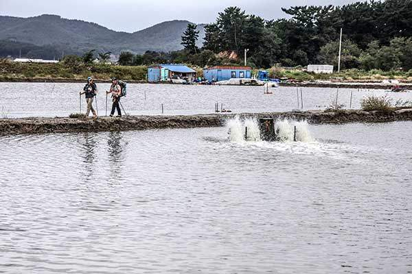 ¼öÂ÷°¡ ½ß½ß µµ´Â ¿°Àü.