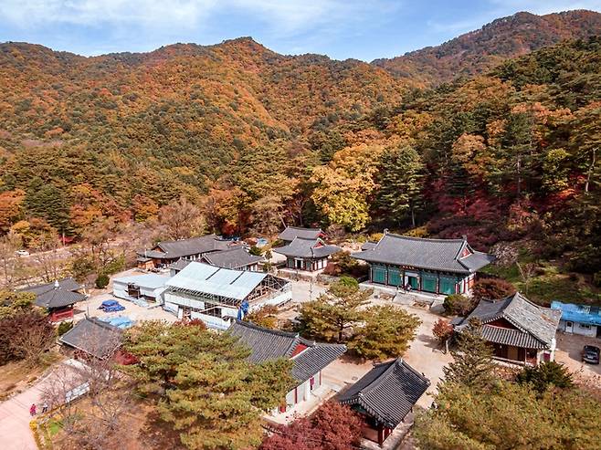 수타사. /사진= 한국관광공사 포토코리아- 강원지사 모먼트스튜디오