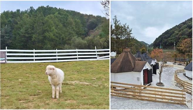 하양목장. /사진= 강예신 여행+ 기자