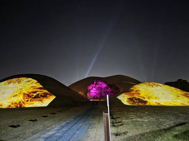 대릉원 미디어파사드쇼가 진행되는 가운데 목련나무를 가운데 두고 있는 인기 포토존. 강시일 기자