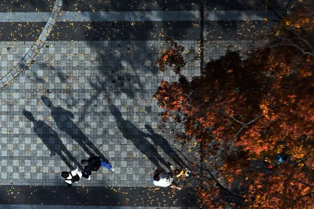 완연한 가을 날씨를 보인 9일 서울 중구 남산을 찾은 시민들이 낙엽을 밟으며 걷고 있다. 조태형 기자 2025.11.09