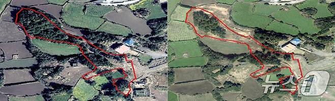제주시 소재 도 지정문화유산 인근 산림 6000여 ㎡의 2022년 모습(왼쪽)과 2024년 무단 훼손된 후 모습.(제주도자치경찰단 제공. 재판매 및 DB 금지)