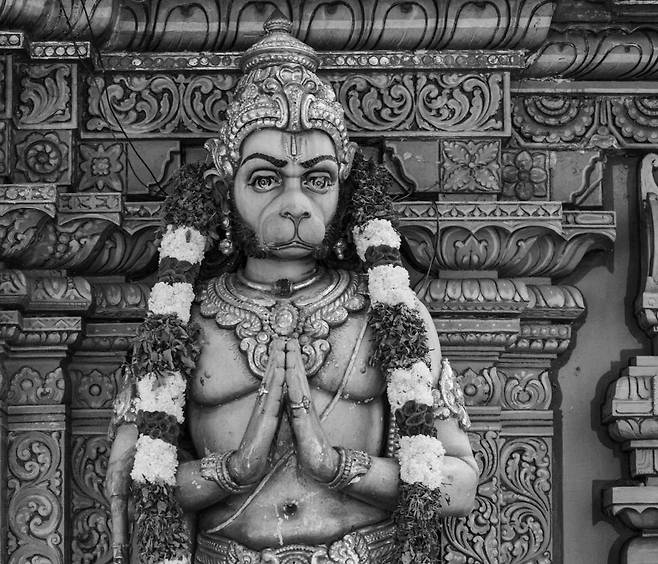 너라고 불러도 될까. 사진 속 너는 원숭이지만 신이라 숭배되고, 나는 겨우 사람일 뿐이니. 그러므로 ‘님’이라 불러야 할까. 너희는 마치 거울처럼 사람에게 다가온다. 사마천의 ‘사기’에 나오는 고사성어 ‘목후이관’은 목욕시킨 원숭이에게 갓을 씌웠다는 뜻인데, 그야말로 우리의 모습은 아닌지. 2017년 싱가포르 힌두교 사원.