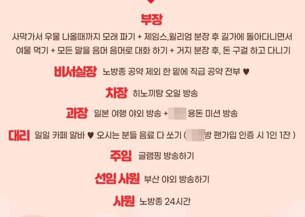 한 BJ의 직급별 공약. 해당 직급이 될 시 공약을 정해놨다. 사진은 기사의 특정 내용과 관련 없음. 사진=인터넷 커뮤니티 캡처