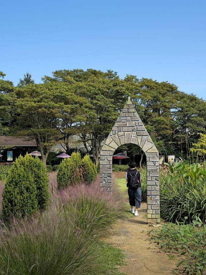청산수목원 핑크뮬리 산책로.