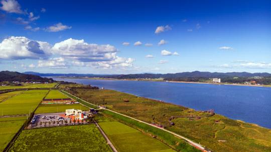 서천 신성리 갈대 숲은 한해동안 30만-40만 명의 방문객이 찾을 만큼 오랜 기간 관광명소로 큰 사랑을 받고 있다 서천군 제공