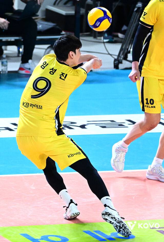 KB손해보험 임성진./KOVO