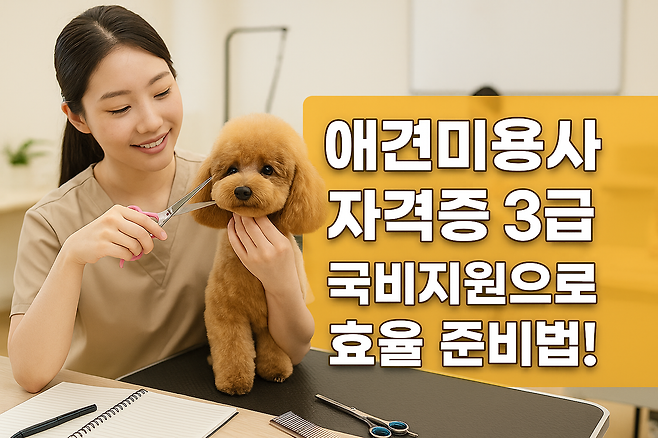 애견미용사 자격증 3급 국비지원으로 효율적으로 준비하는 방법
