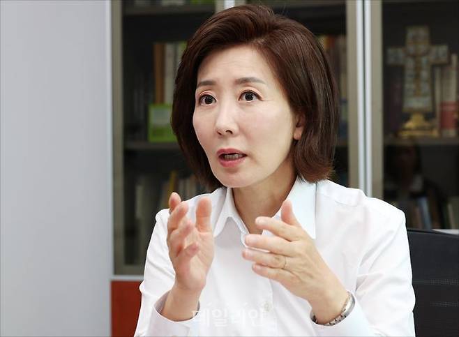 나경원 국민의힘 의원 ⓒ데일리안 홍금표 기자