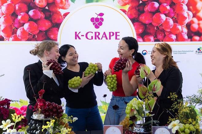 샤인머스캣, 글로리스타 등 한국산 프리미엄포도를 즐기고 있는 행사 참가자들 (사진=한국농수산식품유통공사)