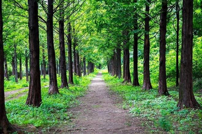 /사진=게티이미지뱅크