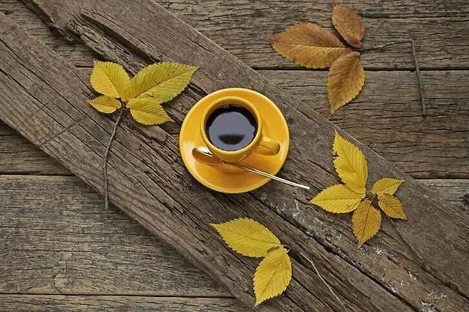 커피는 단순한 기호식품을 넘어 장내 미생물과 뇌 건강을 연결하는 매개체가 될 수 있다. 특히 우울장애 환자에게서 유익 미생물 증가와 연관된 점은 중요한 발견이다. 게티이미지