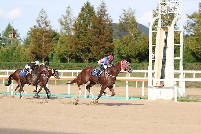문화일보배 우승마 '무제한급'과 빅투아르 기수.(사진 한국마사회 제공)
