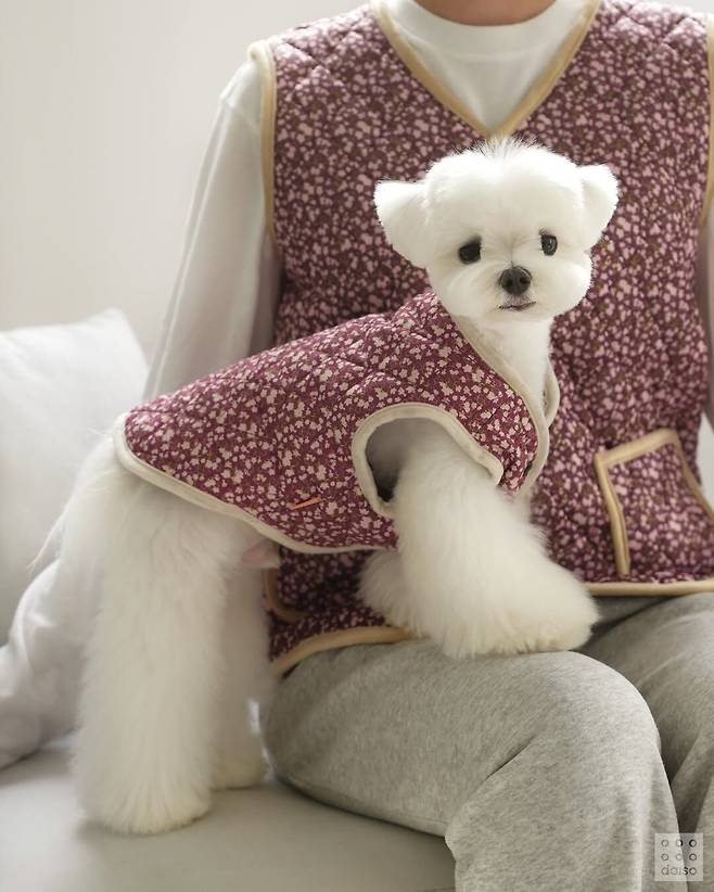 반려견과 함께 시밀러 룩으로 입는 김장조끼 아이템을 선보인 다이소몰. @daisolife