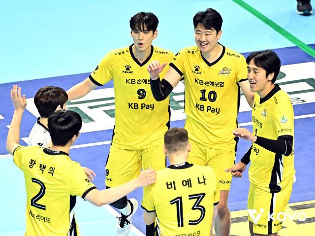 KB손해보험 배구단./KOVO