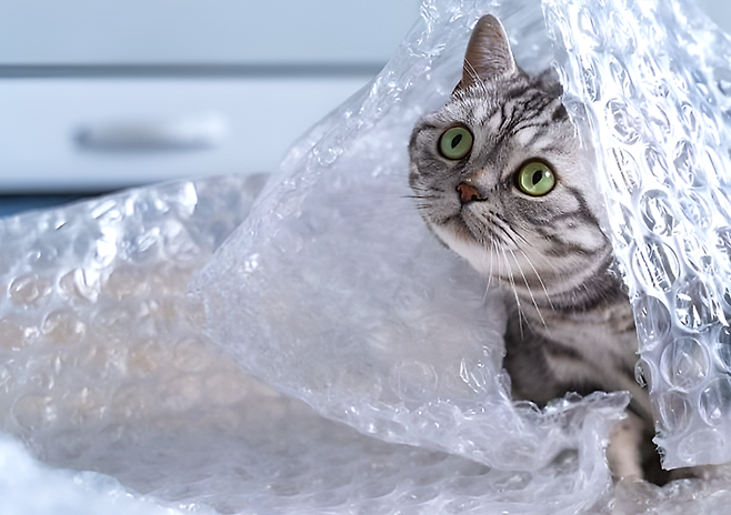 창문에 에어캡을 직접 붙이는 방식은 단열 효과가 크지 않고 유리 파손이나 결로 문제를 일으킬 수 있다는 전문가 경고가 나왔다. 대신 플라스틱 중공판 등 대체 단열재를 활용하거나 장기적으로는 이중창 설치가 권장된다. 사진=게티이미지뱅크.