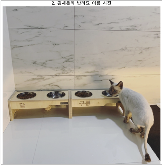 유족이 공개한 자료 2/ 김새론 유족 측 제공