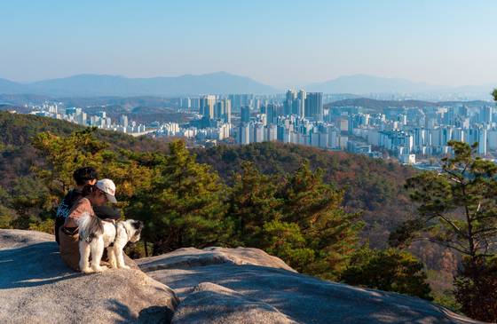불암산 애기봉. 204m 높이의 야트막한 봉우리다. 시원한 전망, 쉬운 코스 덕분에 인기가 많다. 백종현 기자