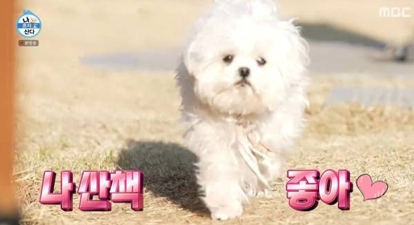 나혼산 꽃분이 / 사진=MBC 캡처