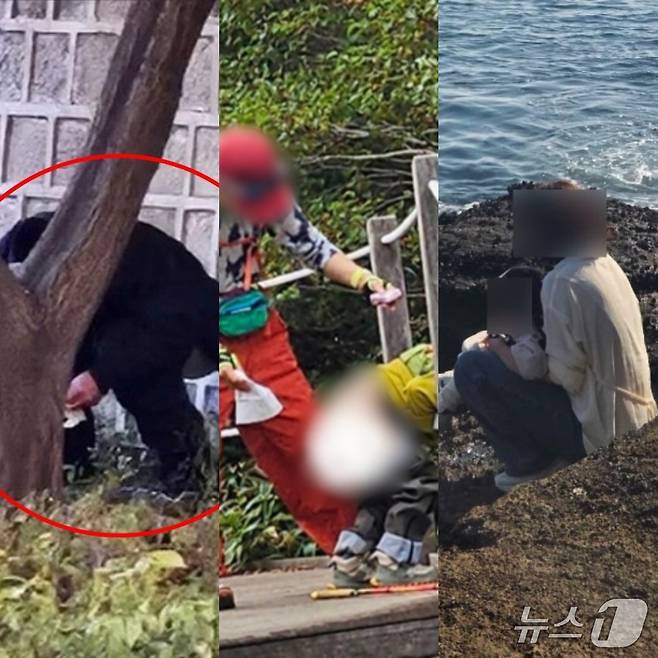 왼쪽부터 국가유적 경복궁 돌담, 제주 한라산 국립공원, 천연기념물 제주 용머리 해안 등에서 중국인 관광객들이 대변을 보고 있다.(뉴스1 사진자료. 재판매 및 DB 금지)2025.12.1/뉴스1
