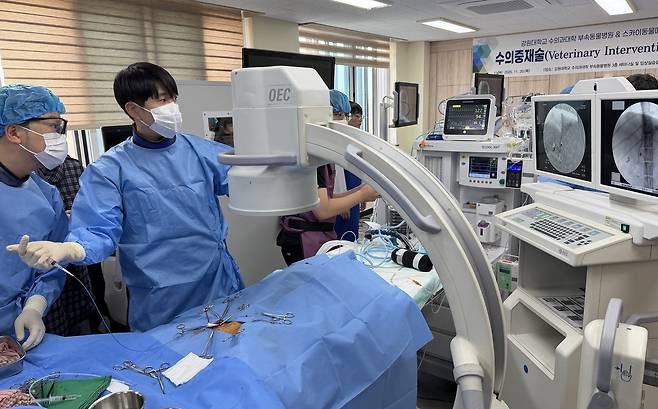 스카이동물메디컬그룹은 최근 강원대학교 수의과대학에서 인터벤션(중재치료) 심화 워크숍을 개최했다(스카이동물메디컬그룹 제공). ⓒ 뉴스1