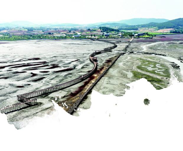 무안황토갯벌랜드는 청정갯벌 생태자원의 체계적인 보전 관리와 관광 자원화를 통한 지역경제 활성화에 이바지하고 있다. 최근 바다 위 다리를 걸으며 갯벌의 생태를 가까이서 체험할 수 있도록 국내에서 가장 긴 목재 해상 보행교를 설치했다.
<무안군 제공>