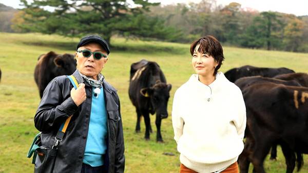 축산생명연구원 제주마방목지에서 촬영중인 허영만씨와 배우 진서연씨.(사진제공=제주관광공사)