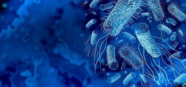 고령화 속도가 빠른 한국의 특성을 고려할 때 지금의 증가 추세를 방치할 경우 만성적 의료 위기로 이어질 수 있다는 우려도 제기된다. 게티이미지