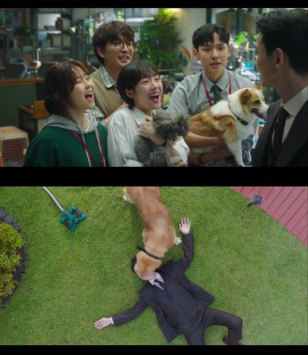 사진='프로보노' 방송 영상 캡처