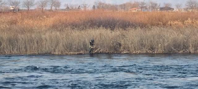 ▲ 7일 오후 2시 34분쯤 춘천시 동면 소양강에서 70대 A씨가 낚시를 하던 중 불어난 강물에 고립돼 소방당국이 30여분 만에 구조했다. 강원소방본부 제공