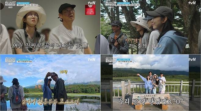 사진=tvN