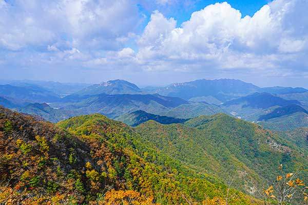 선야봉 오름 조망 터에서 뒤돌아보니 동북쪽으로 천등산과 금남정맥의 대둔산, 오대산 능선이 곧추서서 주위를 평정하고 있다.
