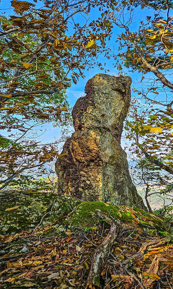 급경사 바위 비탈 오르막을 올라 잠시 허리를 펴면 만나게 되는 바위. 영락없이 강아지 한 마리가 앉아 있는 모습이다.