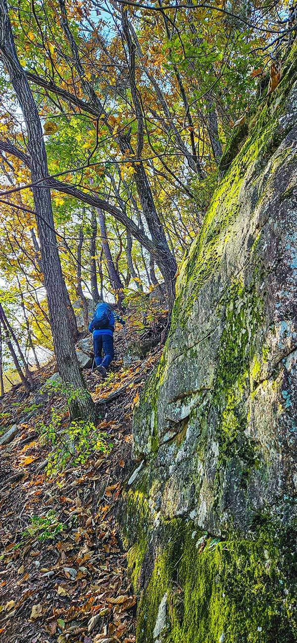 초록 이끼 옷을 입은 거대한 바위 옆을 따라 낙엽 비탈을 오른다.