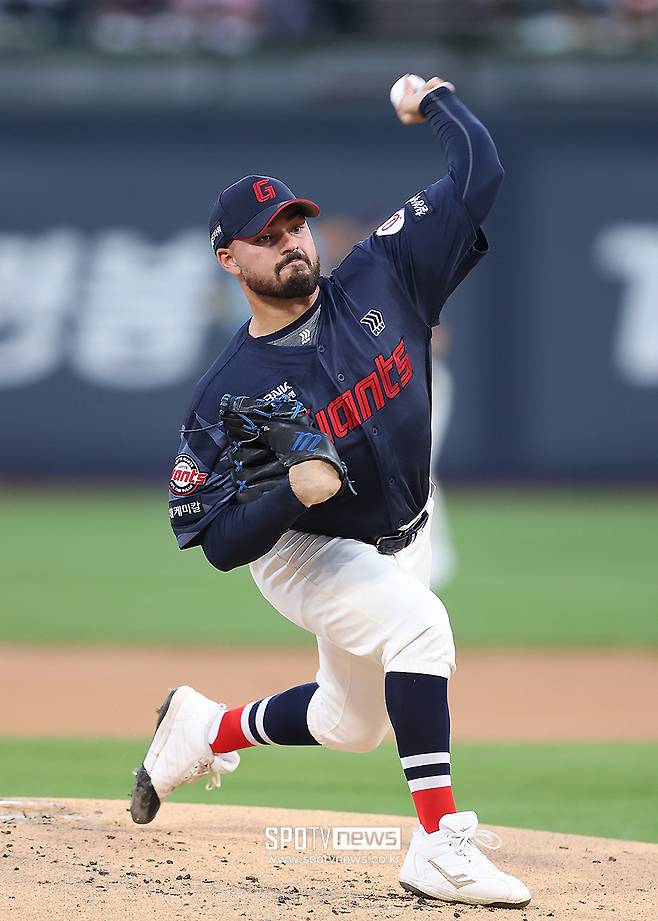 ▲ 감보아 ⓒ곽혜미 기자