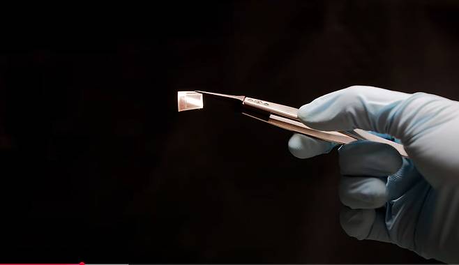 지난 8일 미국 컬럼비아 대학과 스탠퍼드 대학, 펜실베이니아 대 공동 연구팀은 칩 하나에 6만5000개 전극을 담은 BCI 장치 ‘비스크(BISC)’를 개발했다고 밝히고, 그 결과를 국제 학술지 ‘네이처 일렉트로닉스’에 공개했다. 칩은 우표보다 작고 대단히 얇다./Columbia engineering