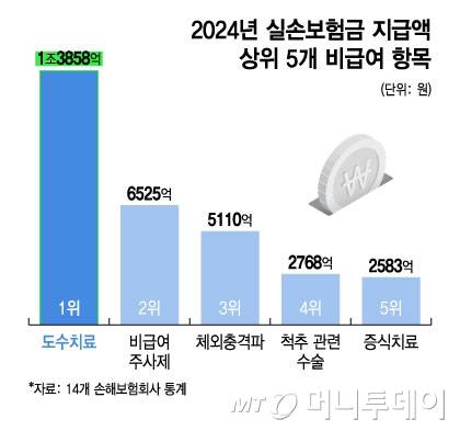 2024년 실손보험금 지급액 상위 5개 비급여 항목/그래픽=윤선정