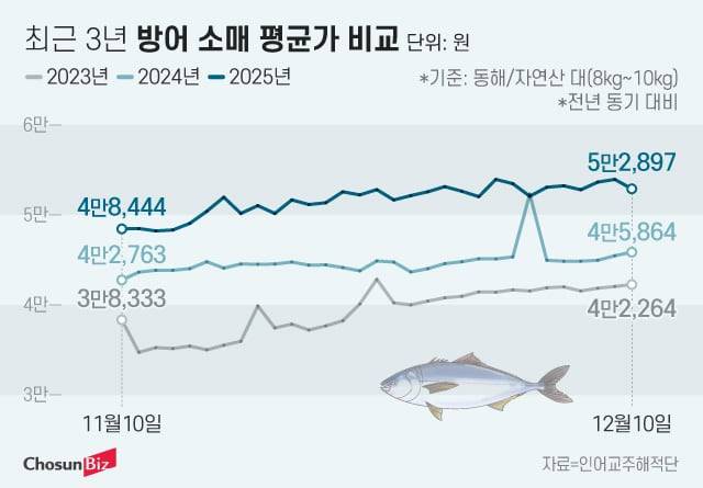 수산물 플랫폼 ‘인어교주해적단’ 집계에 따르면 11월 10일~12월 10일 대방어(8~10㎏) 평균 소매가는 5만654원으로, 2023년 대비 32%, 2024년 대비 15% 상승했다./그래픽=정서희