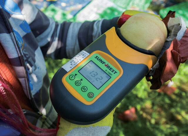 후숙하면 단맛과 과즙이 풍부해지고 향도 진해진다.