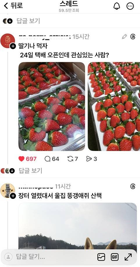 일명 '스레드 장터'에 올라온 홍보글들. 스레드 갈무리